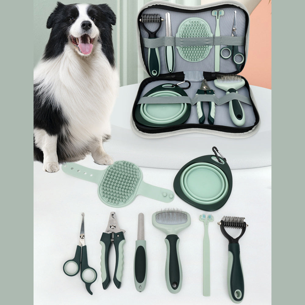 Tondeuse Professionnelle pour Chiens
